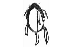 Harnais complet traditionnel - Racing Tack