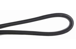 Longe de présentation en cuir avec double chaîne à mousquetons