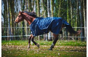 Chemise d'extérieur - Horsewin Basic