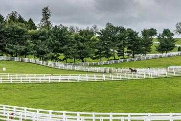 Comment et pourquoi faire analyser le sol de la pâture de son cheval ?