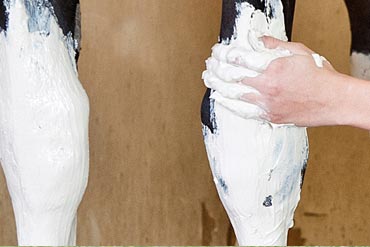 Soins des membres : comment poser l’antiphlogistine ?