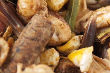 Comparaison des différentes sources d’énergie pour le cheval de sport