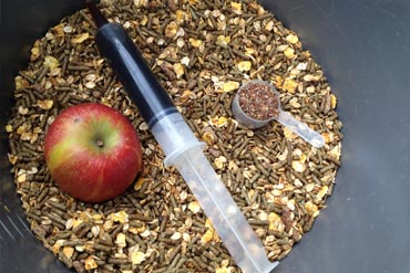 Les compléments alimentaires : pour un cheval au meilleur de sa forme !