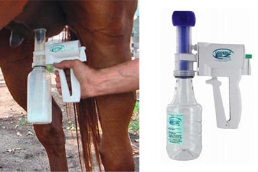 Comment utiliser le tire-lait Udderly Ez, outil indispensable de la saison des poulinages ?