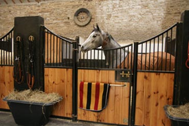 Les vices d’écurie